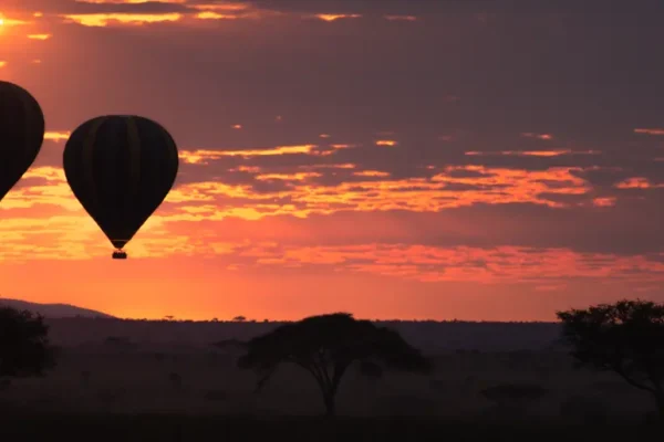 2-Day Flying Safari to Ngorongoro Crater & Tarangire