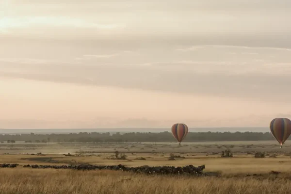 4-Day Classic Safari: Lake Manyara, Central Serengeti & Ngorongoro Crater
