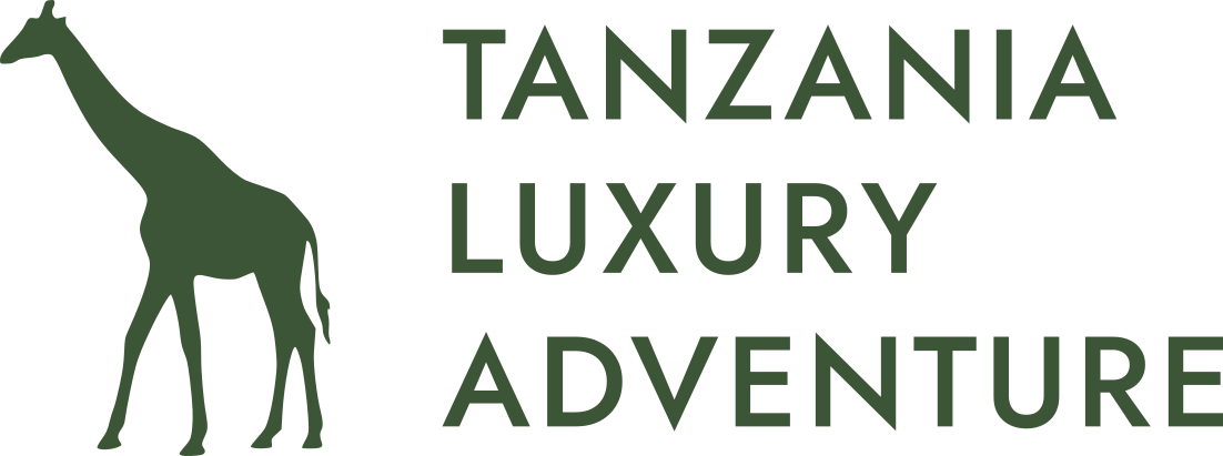 Tanzania Luxury Adventure